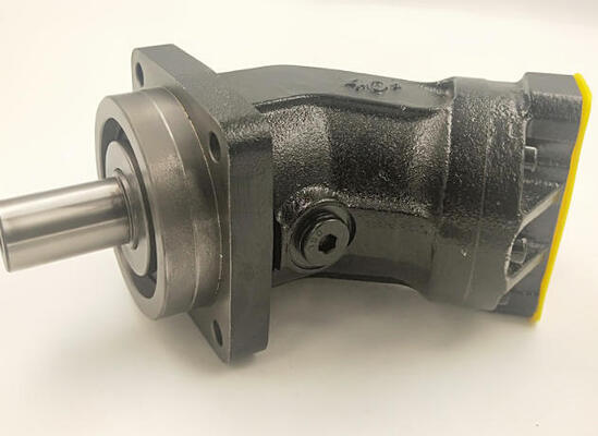 Rexroth Axial Piston Fixed Motor R902161004 A2FM28/61W-VAB100 A2FM Series Bent-Axis Design