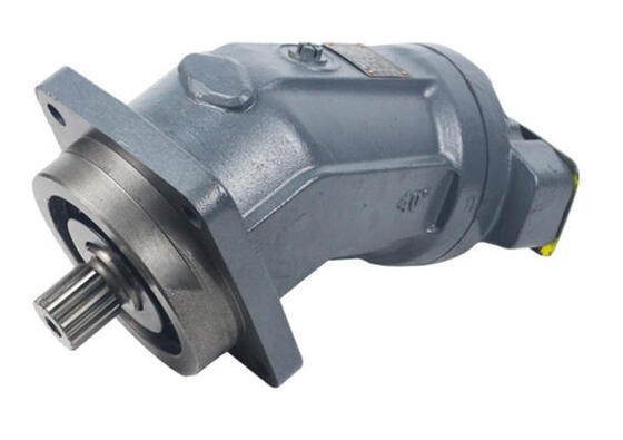 Rexroth Axial Piston Fixed Motor R902229136 A2FM63/61W-VAB010 A2FM Series Bent-Axis Design